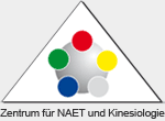 Andrea Schröpel  Praxis für Kinesiologie